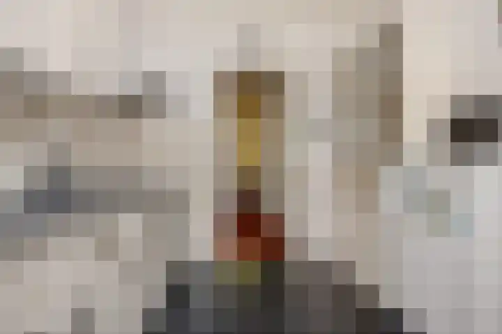 Laan 18 Schagen thumbnail 23