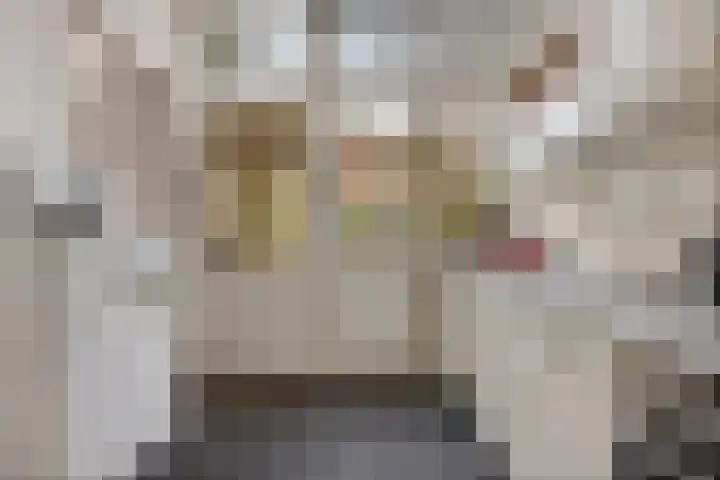 Laan 18 Schagen thumbnail 25