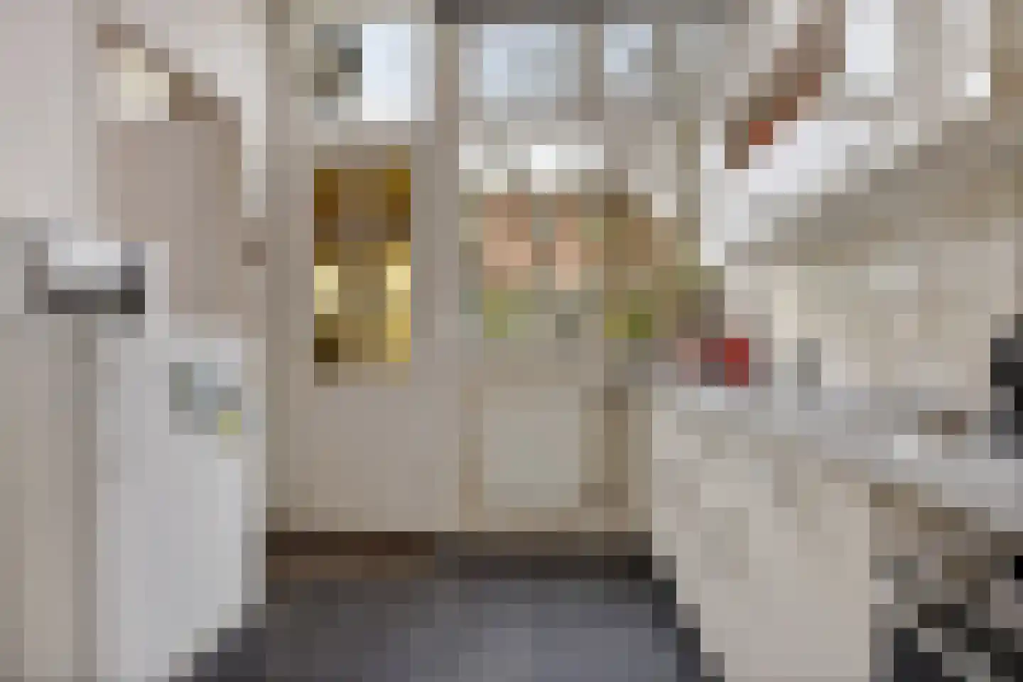 Laan 18 Schagen thumbnail 26