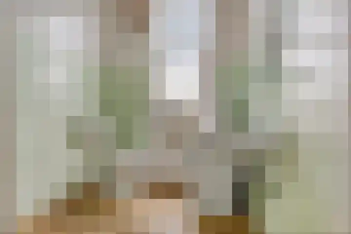 Laan 18 Schagen thumbnail 34