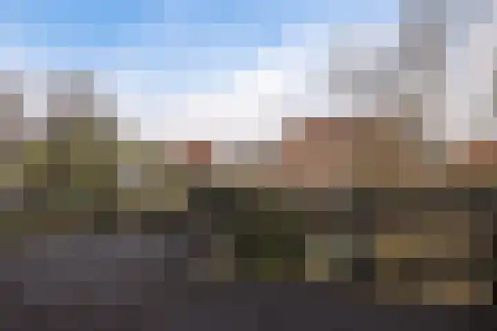 Laan 18 Schagen thumbnail 39