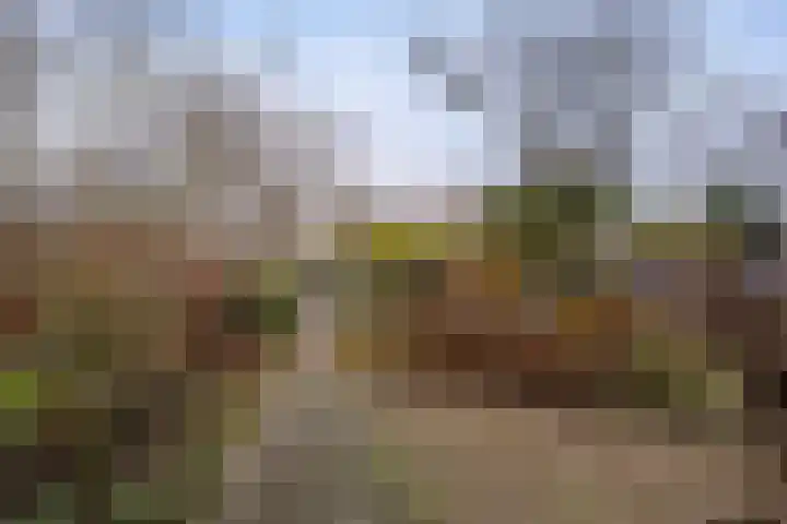 Laan 18 Schagen thumbnail 52