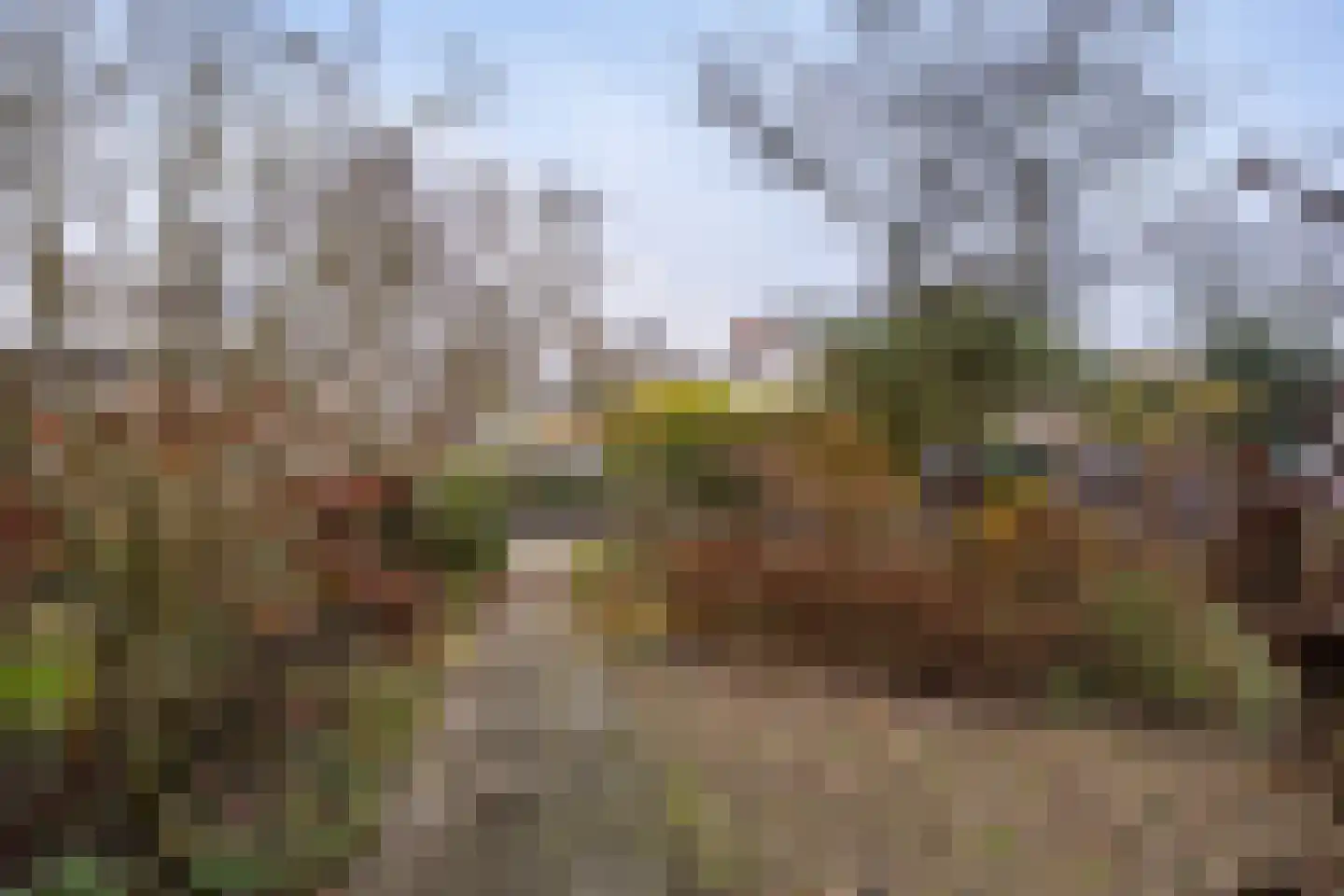 Laan 18 Schagen thumbnail 54
