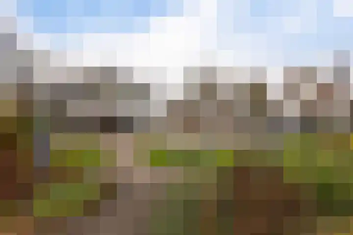 Laan 18 Schagen thumbnail 6