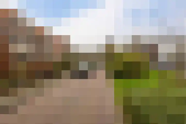 Laan 18 Schagen thumbnail 8