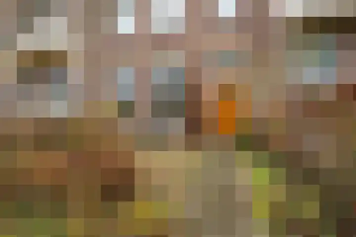Laan 18 Schagen thumbnail 9