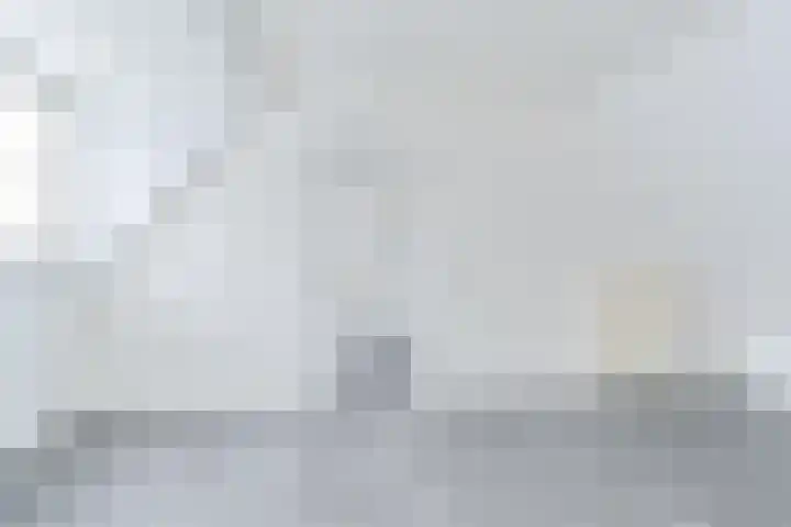 Laan 1917 3 Valthermond thumbnail 65