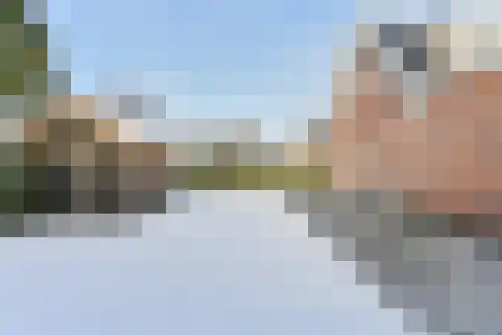 Laan 1917 3 Valthermond thumbnail 68