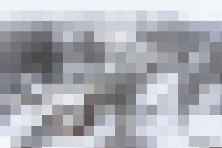 Laan 1917 3 Valthermond thumbnail 81