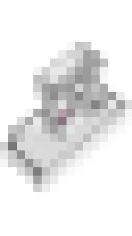Laan 1940-1945 103 Meteren thumbnail 40