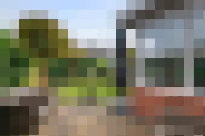 Laan 1940-1945 105 Meteren thumbnail 25