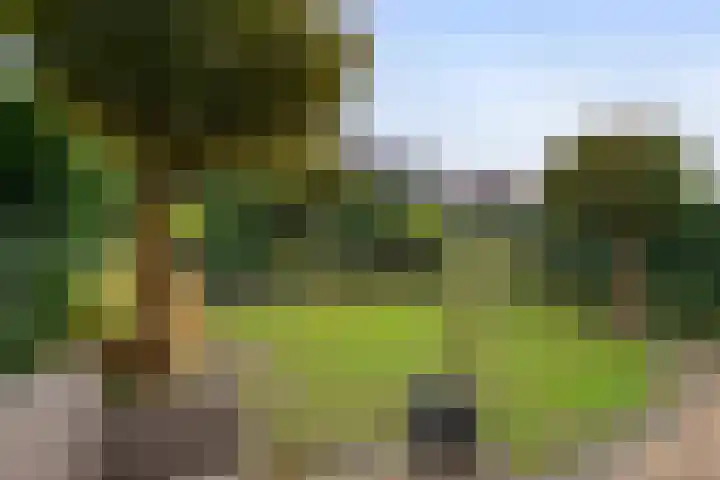 Laan 1940-1945 105 Meteren thumbnail 26