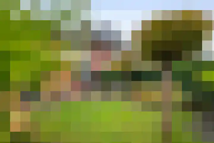 Laan 1940-1945 105 Meteren thumbnail 28