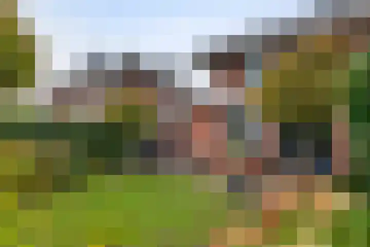 Laan 1940-1945 105 Meteren thumbnail 29