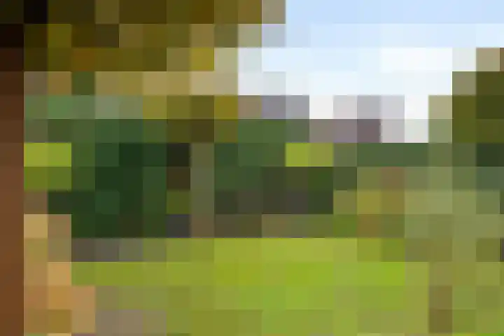 Laan 1940-1945 105 Meteren thumbnail 30