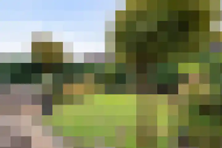 Laan 1940-1945 105 Meteren thumbnail 32