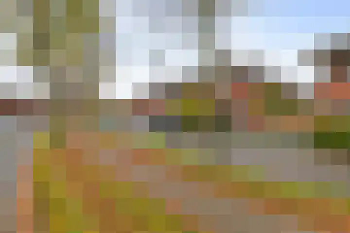 Laan 1940-1945 105 Meteren thumbnail 58