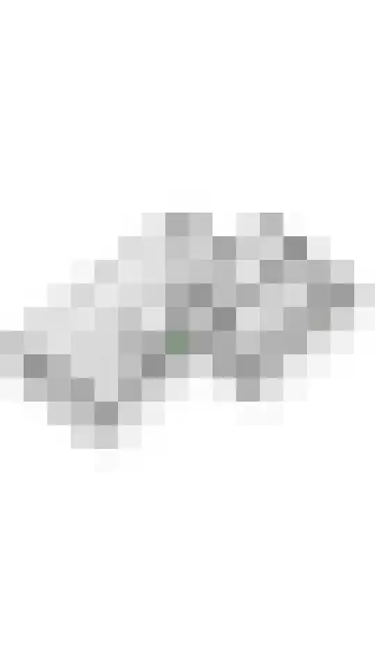 Laan 1940-1945 105 Meteren thumbnail 60