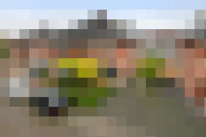 Laan 1940-1945 105 Meteren thumbnail 7