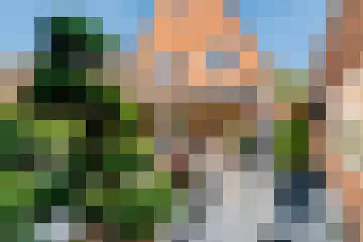 Laan 1940-1945 111 Meteren thumbnail 33