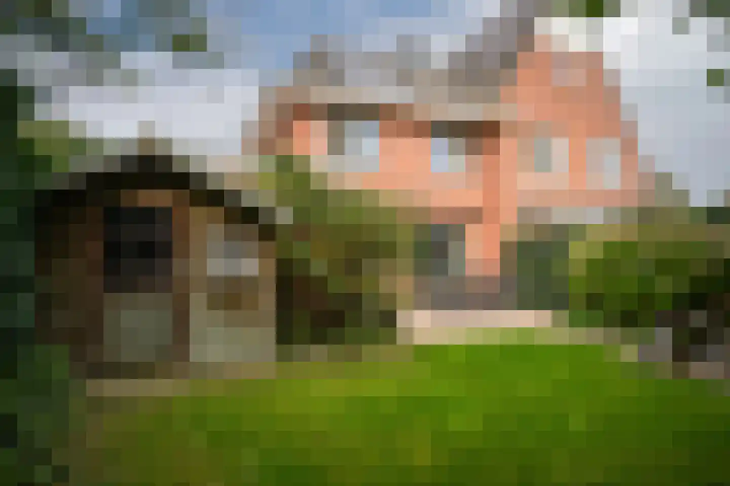 Laan 1940-1945 113 Meteren thumbnail 34
