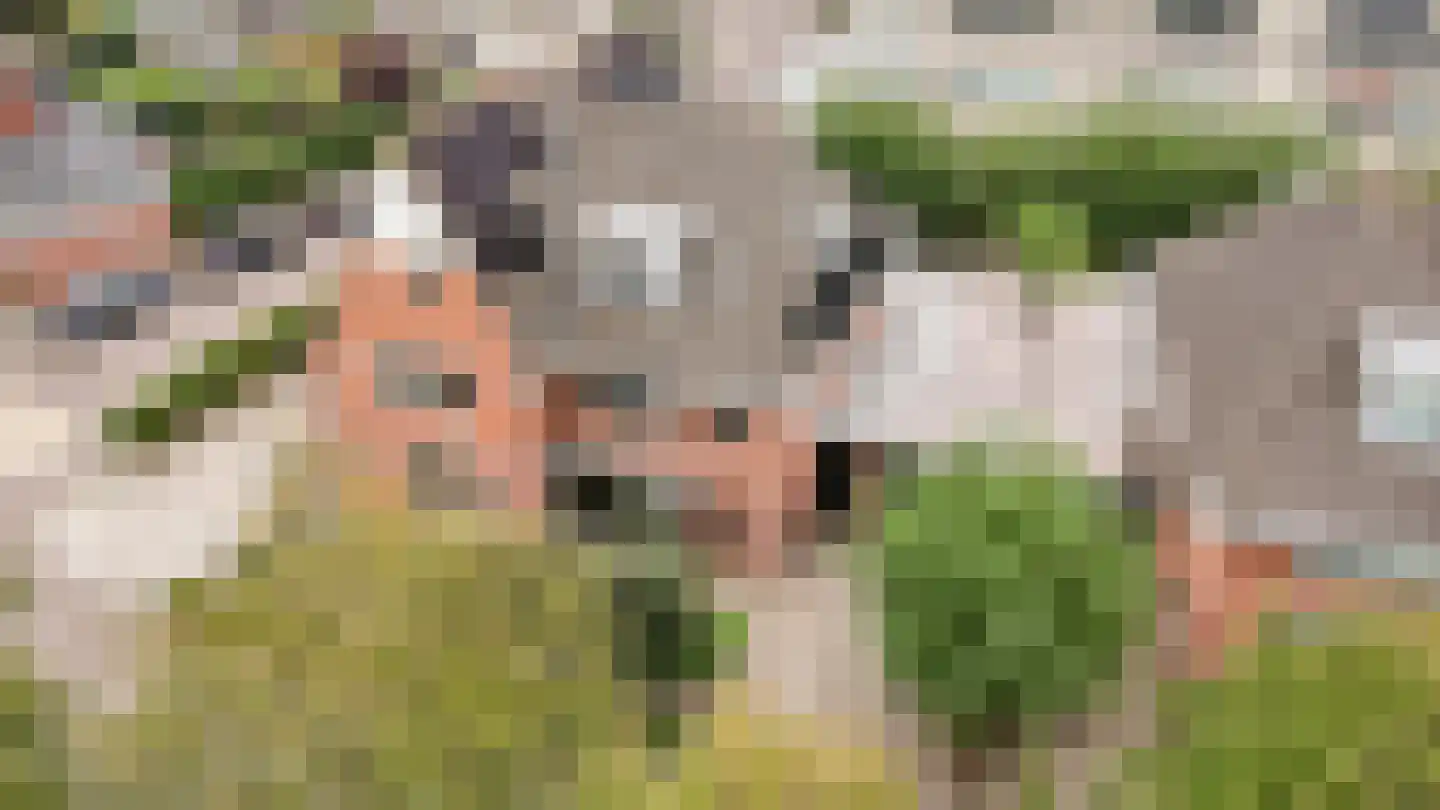 Laan 1940-1945 113 Meteren thumbnail 48