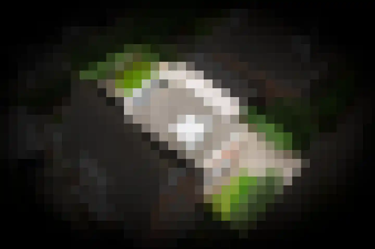 Laan 1940-1945 113 Meteren thumbnail 49