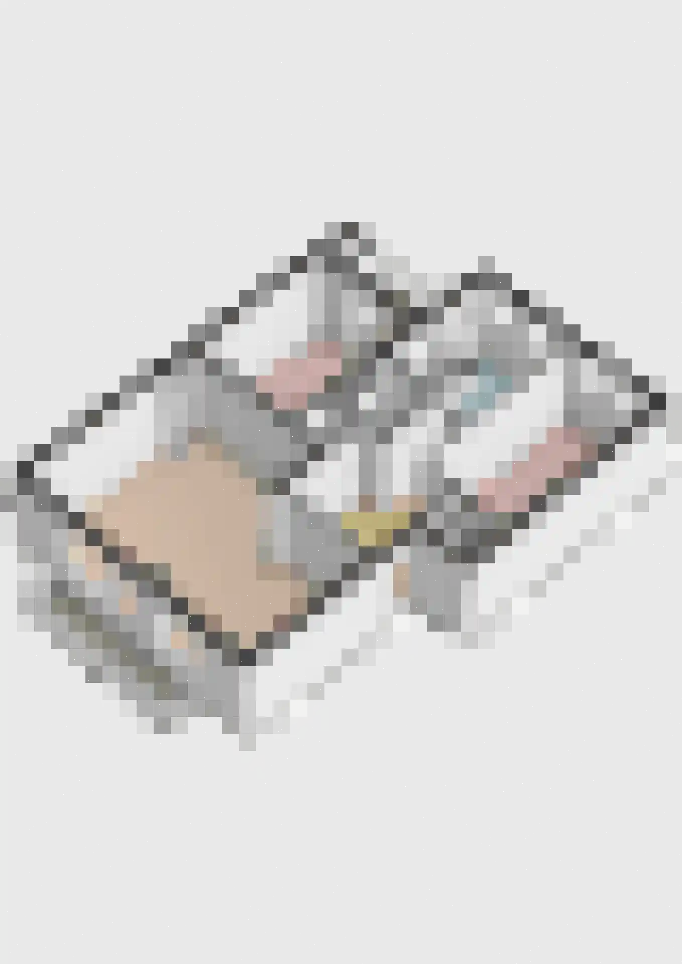 Laan 1940-1945 135 Hilversum thumbnail 44