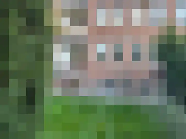 Laan 1940-1945 139 Hilversum thumbnail 12