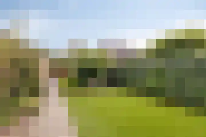Laan 1940-1945 19 Woudenberg thumbnail 28