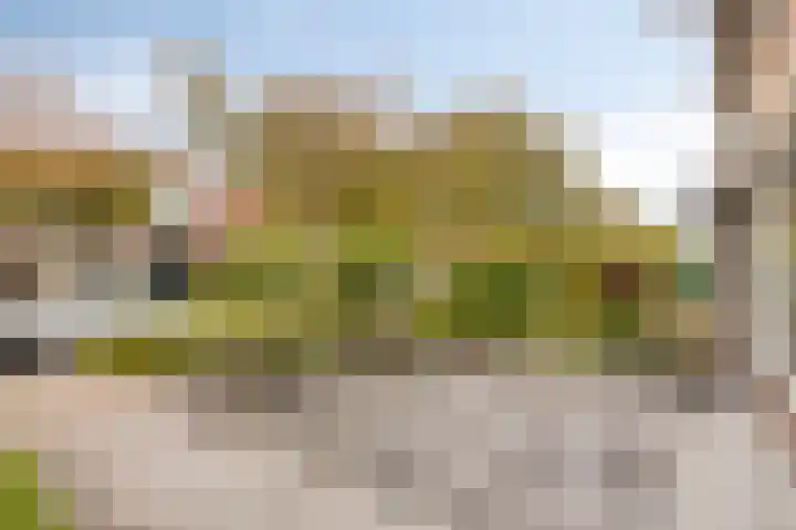 Laan 1940-1945 19 Woudenberg thumbnail 36