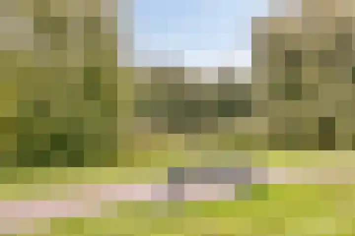 Laan 1940-1945 19 Woudenberg thumbnail 38