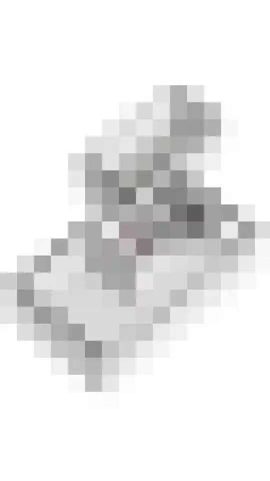 Laan 1940-1945 20 Meteren thumbnail 31