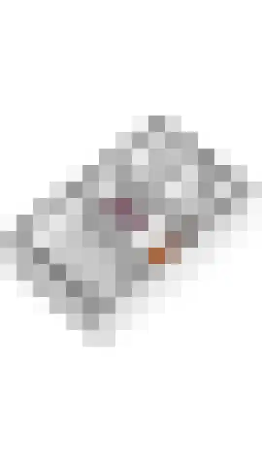 Laan 1940-1945 20 Meteren thumbnail 33