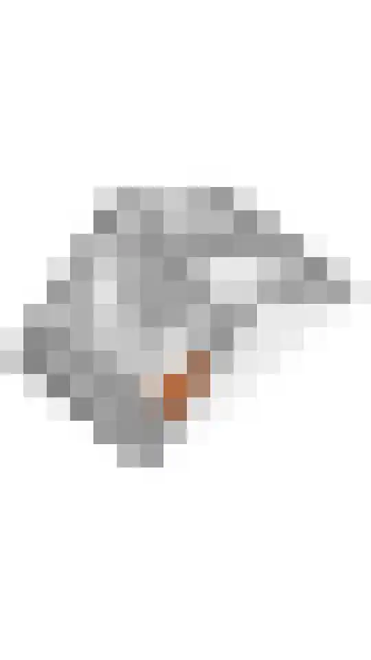 Laan 1940-1945 20 Meteren thumbnail 35