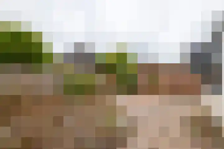 Laan 1940-1945 21 Meteren thumbnail 18
