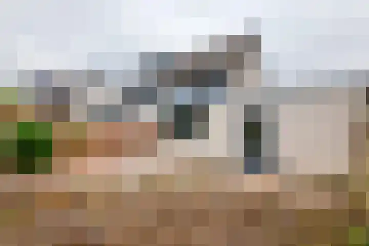 Laan 1940-1945 21 Meteren thumbnail 20