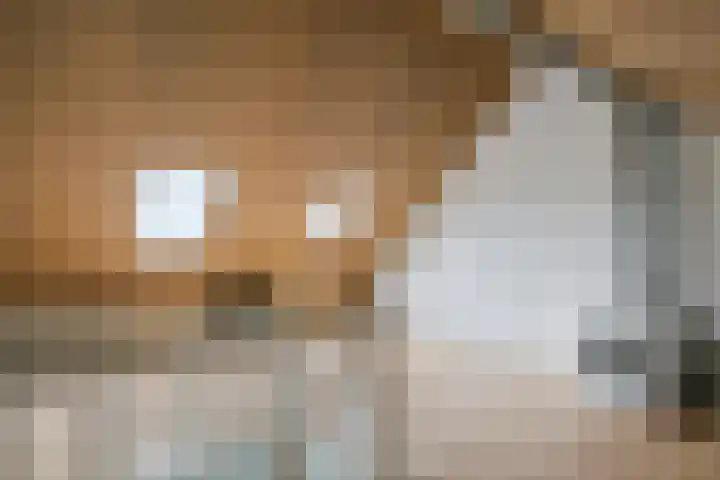 Laan 1940-1945 21 Meteren thumbnail 33