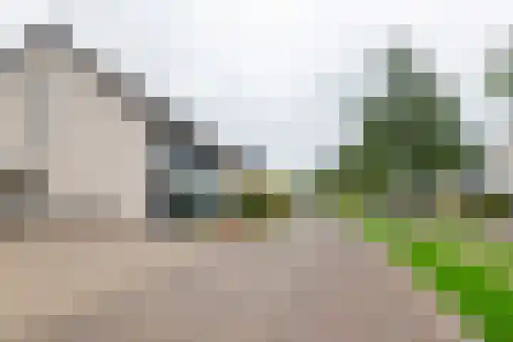 Laan 1940-1945 21 Meteren thumbnail 34