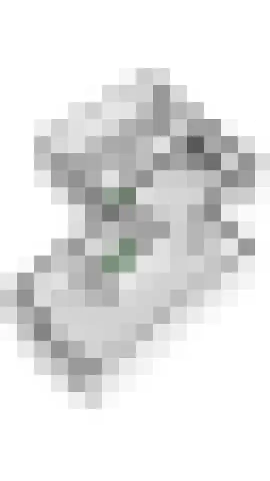 Laan 1940-1945 21 Meteren thumbnail 37
