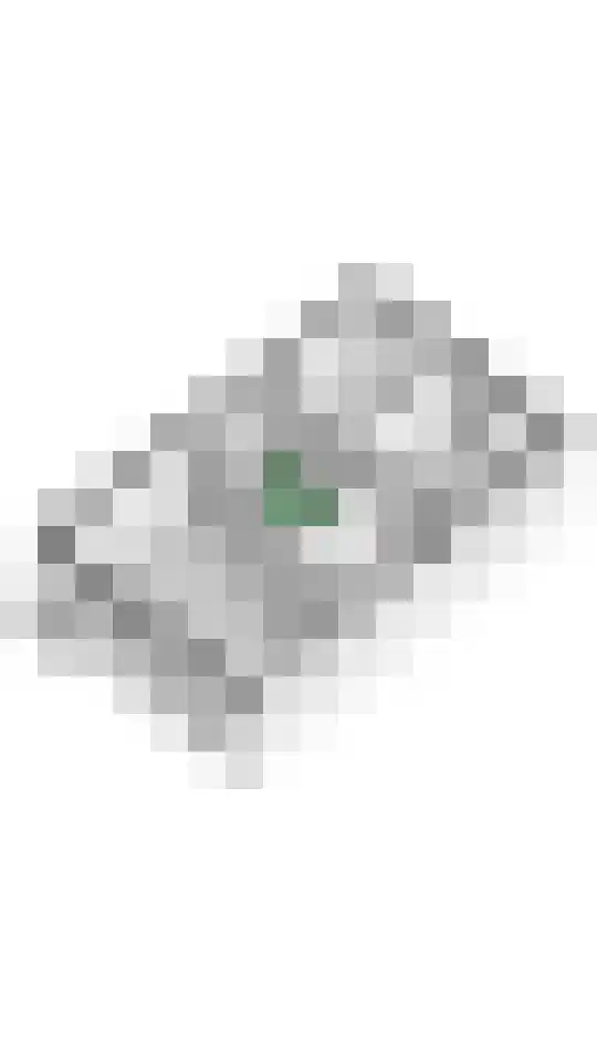 Laan 1940-1945 21 Meteren thumbnail 39