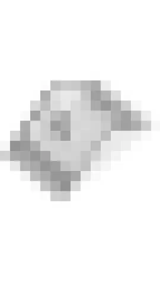 Laan 1940-1945 21 Meteren thumbnail 41