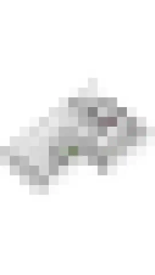 Laan 1940-1945 34 Meteren thumbnail 40