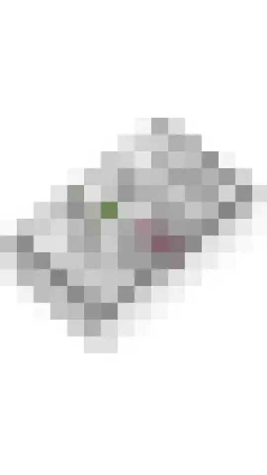 Laan 1940-1945 34 Meteren thumbnail 42