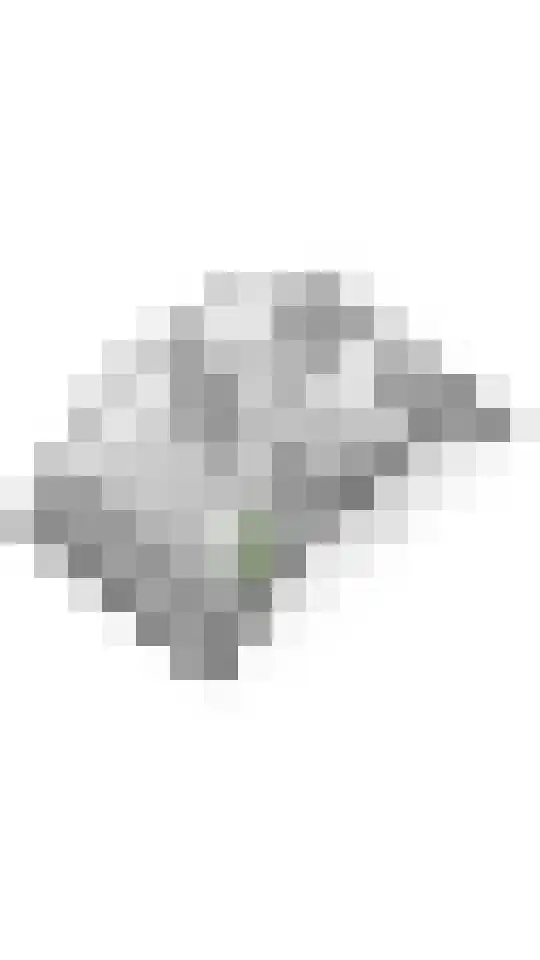 Laan 1940-1945 34 Meteren thumbnail 44