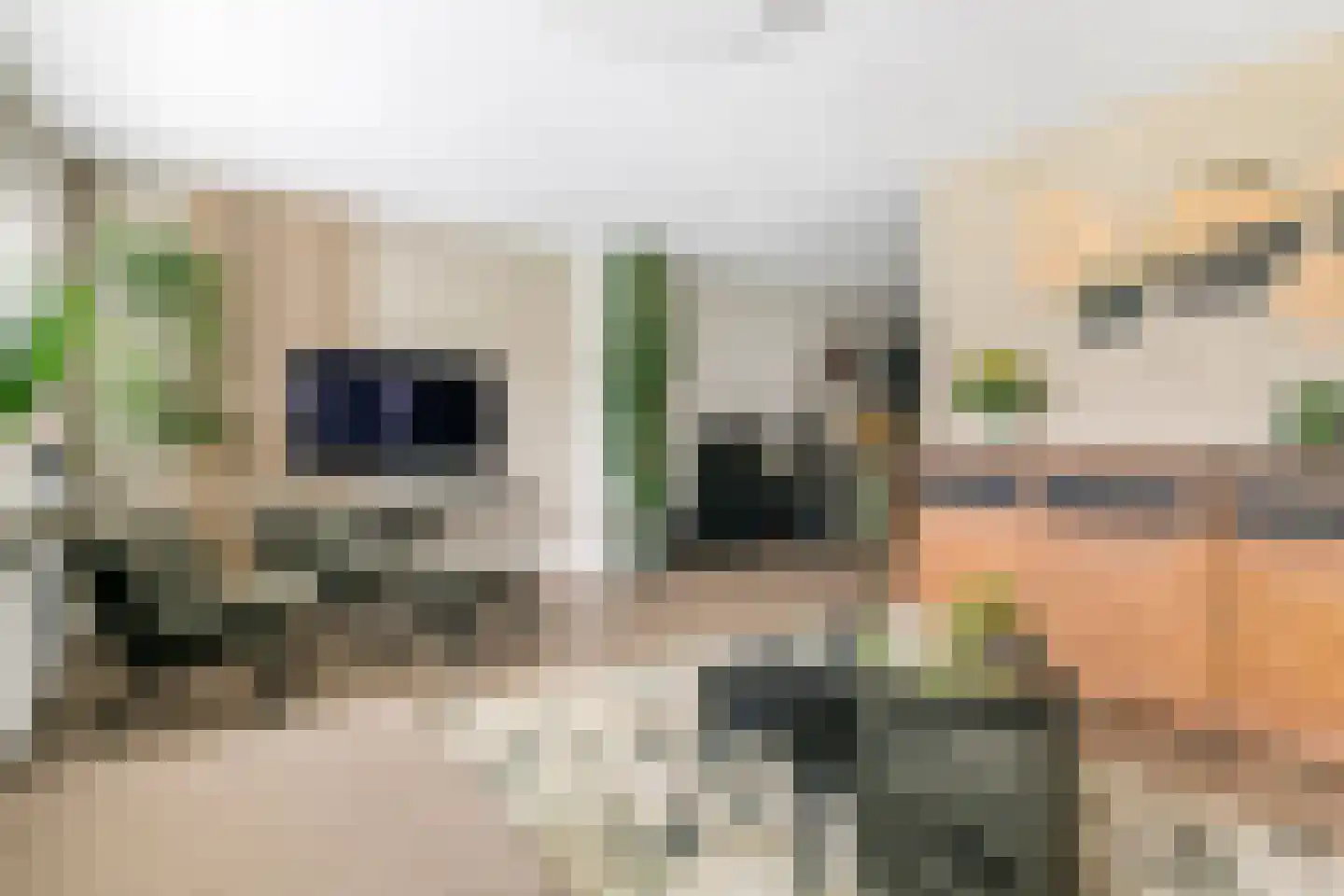 Laan 1940-1945 34 Meteren thumbnail 7