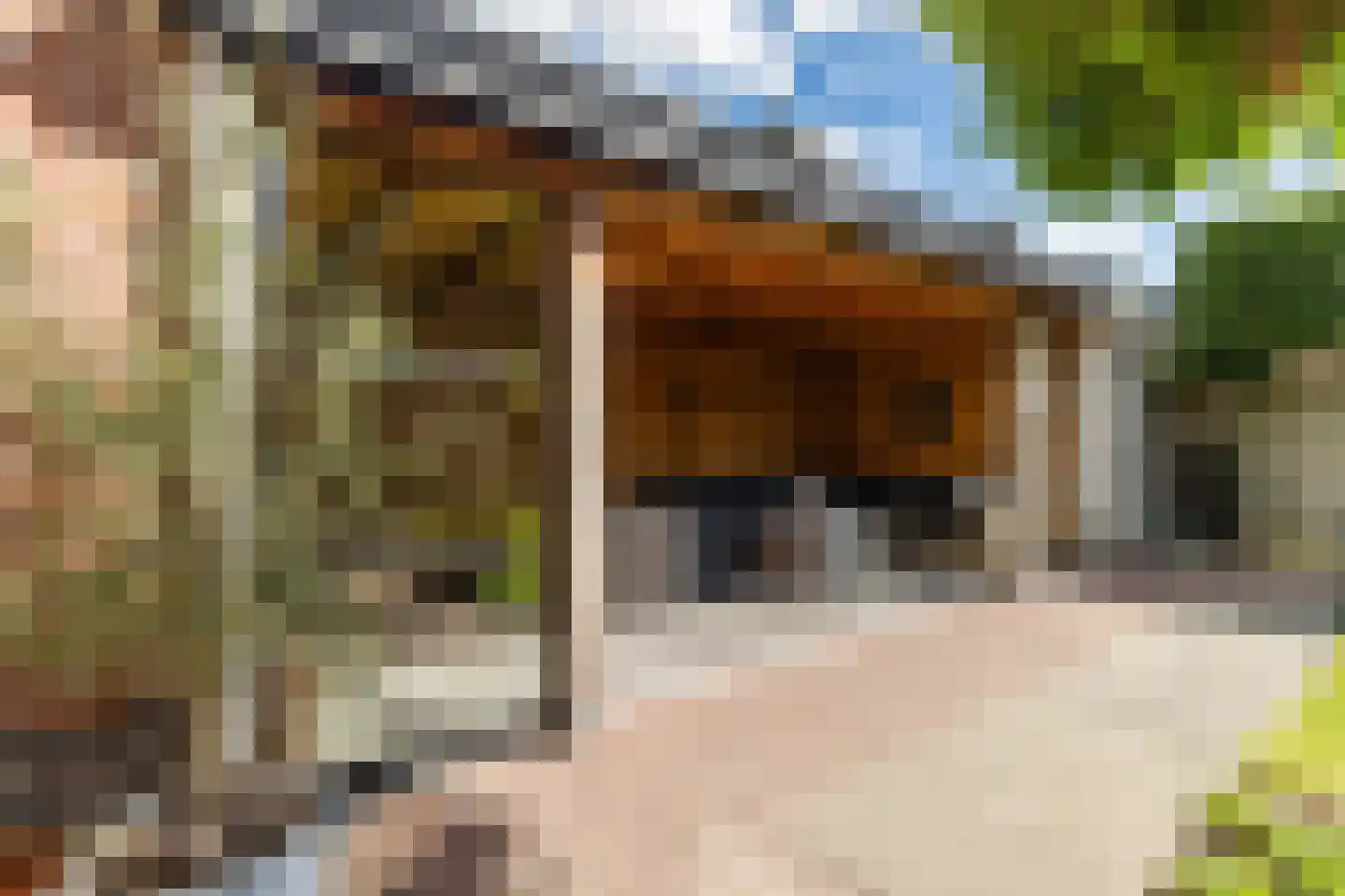Laan 1940-1945 39 Woudenberg thumbnail 4
