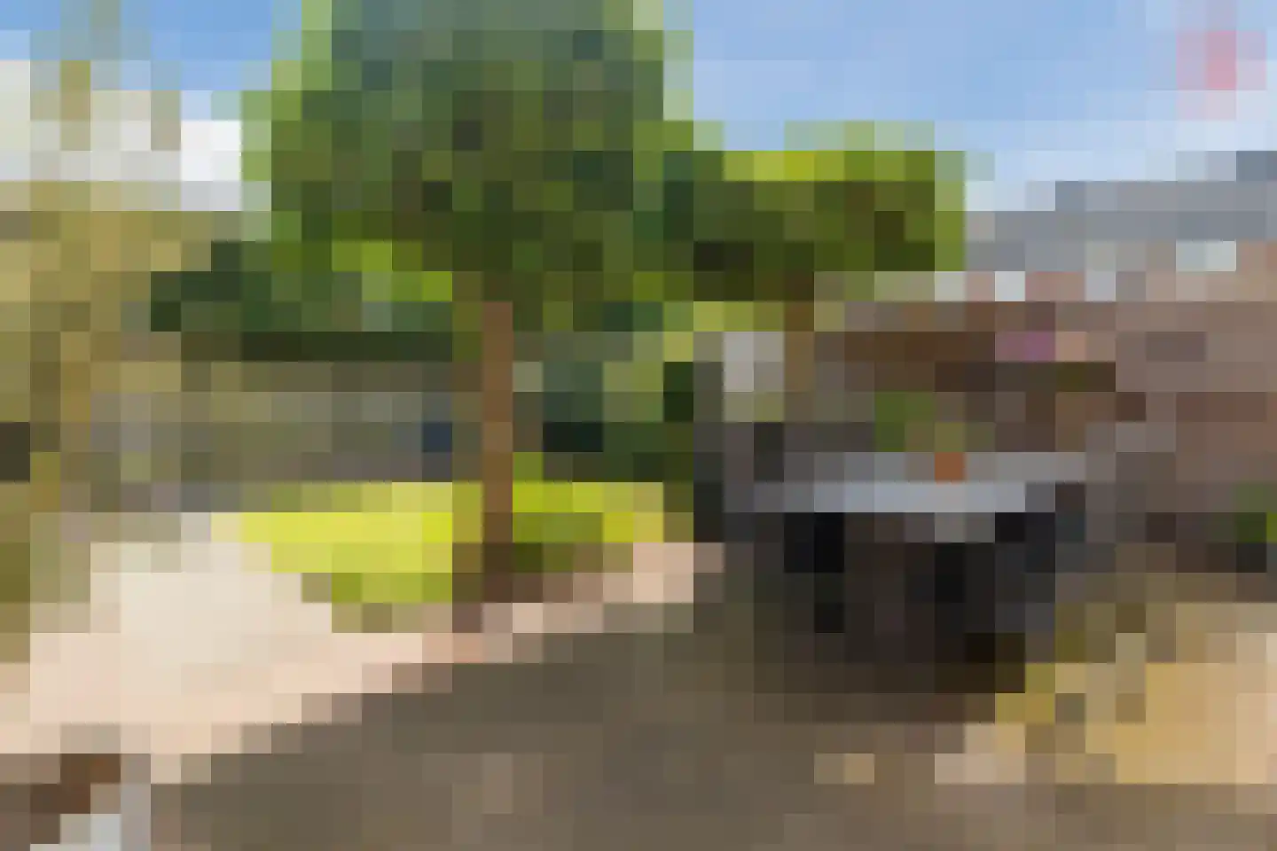 Laan 1940-1945 39 Woudenberg thumbnail 42