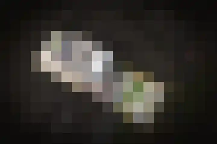 Laan 1940-1945 50 Meteren thumbnail 42