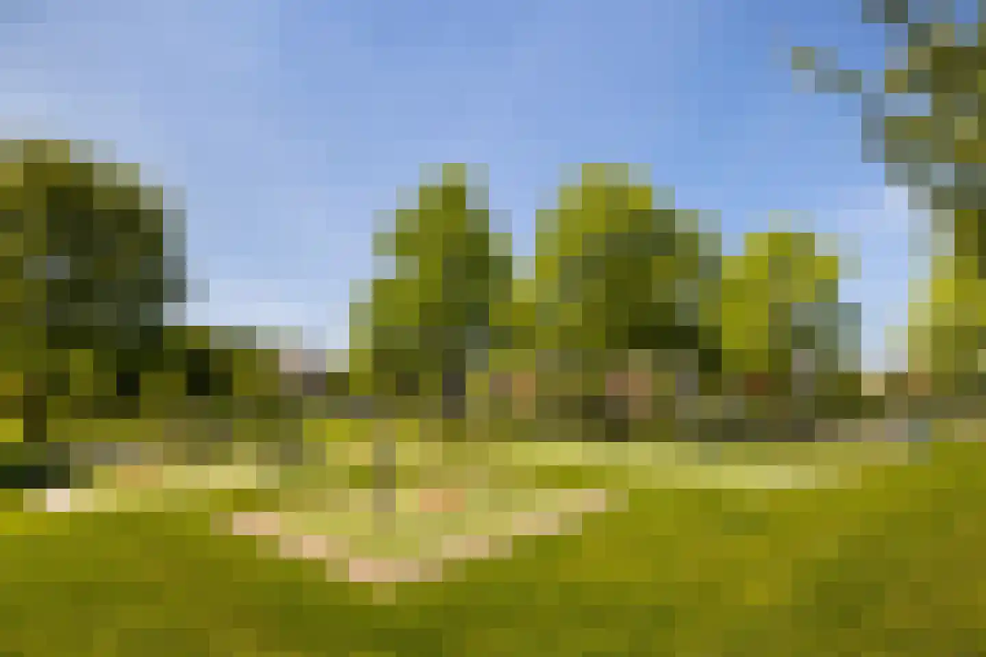 Laan 1940-1945 57 Woudenberg thumbnail 50